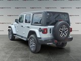 2024 Jeep Wrangler Sahara image 3