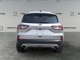 2020 Ford Escape SEL image 4
