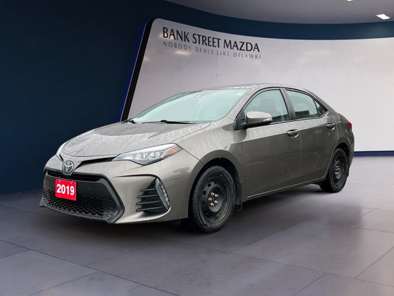 2019 Toyota Corolla SE Manual