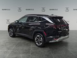 2025 Hyundai Tucson Preferred w/Trend Package image 3