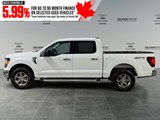 2025 Ford F-150 XLT image 2