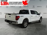 2025 Ford F-150 XLT image 5