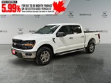 2025 Ford F-150 XLT image 1