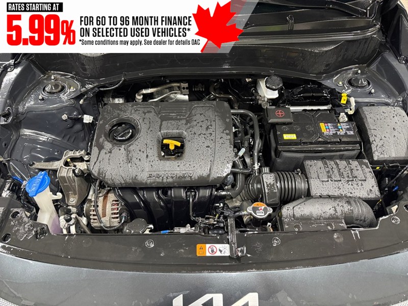 2024 Kia Seltos EX AWD
