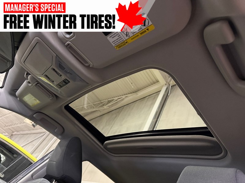 2019 Toyota RAV4 AWD XLE WITH TWO SETS OF TIRES