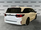 2025 Honda Odyssey Sport-L image 5