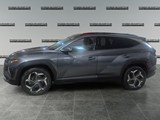 2024 Hyundai Tucson Hybrid Luxury image 2