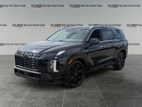 2023 Hyundai Palisade Urban 7 Passenger image 1