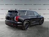 2023 Hyundai Palisade Urban 7 Passenger image 5