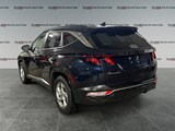 2022 Hyundai Tucson Preferred image 3