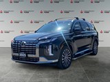 2025 Hyundai Palisade Ultimate Calligraphy image 1