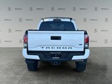 2019 Toyota Tacoma SR5 V6 image 3