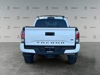 2019 Toyota Tacoma 4x4 TRD Sport | Ultra Low KM's