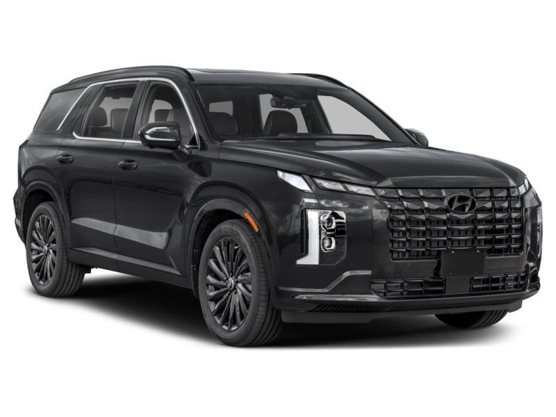 2025 Hyundai Palisade Ultimate Calligraphy Night 7-Passenger AWD Exterior Shot 8