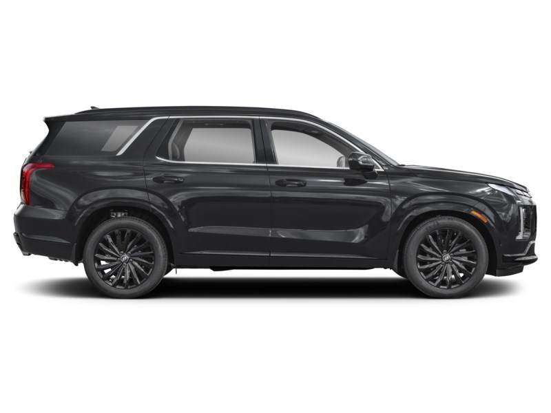 2025 Hyundai Palisade Ultimate Calligraphy Night 7-Passenger AWD Exterior Shot 10