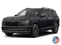 2027 Hyundai Palisade HEV Ultimate Calligraphy Night AWD Abyss Black  Shot 1